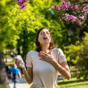 Quali sono gli allergeni più comuni in estate